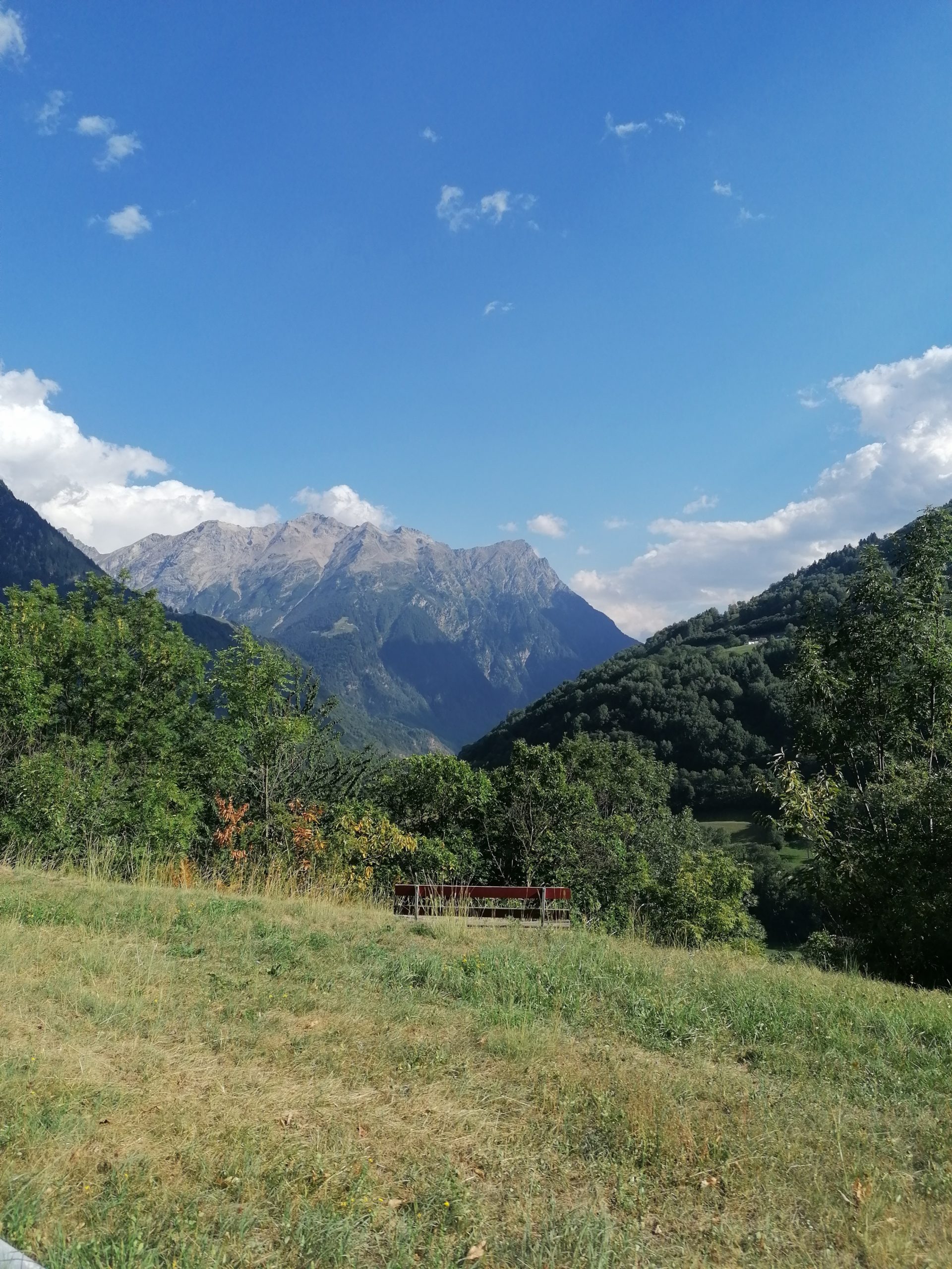 UNIMOG Jahresausfahrt UJA 2022